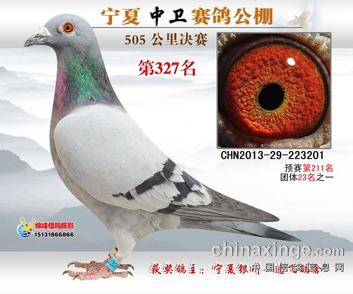 20131120221850546.jpg