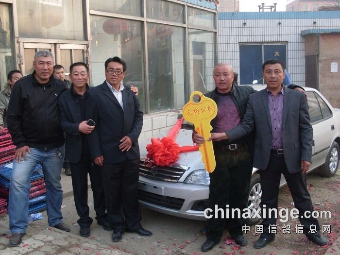 辽宁天翔赛鸽公棚拍卖现场图片 - 辽宁省昌图县八面城