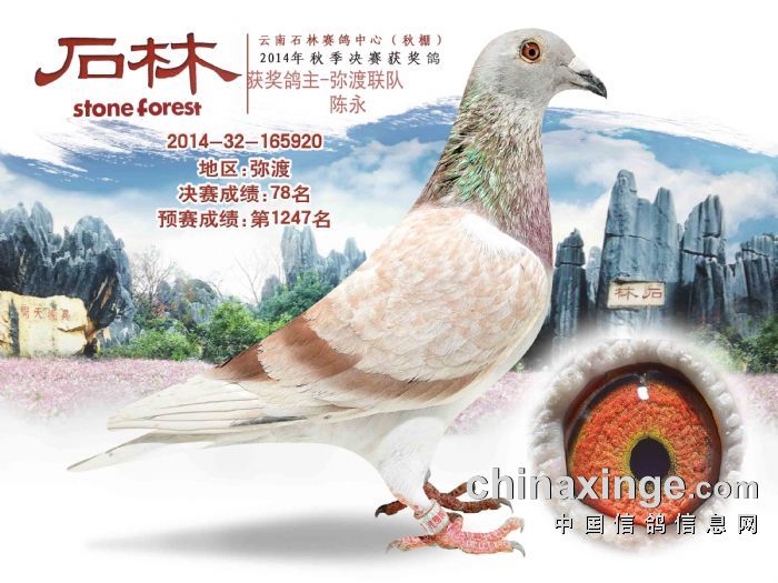 2014年决赛76-80名 - 云南石林赛鸽中心(秋棚) - 中国
