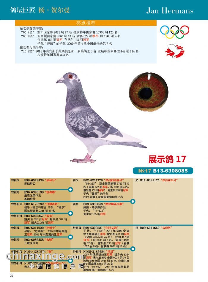 2015年杨.贺尔曼父子成都展卖会名鸽介绍2