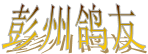 ���ݸ���