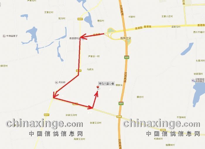 胶州营海gdp_胶州少海湿地公园(2)