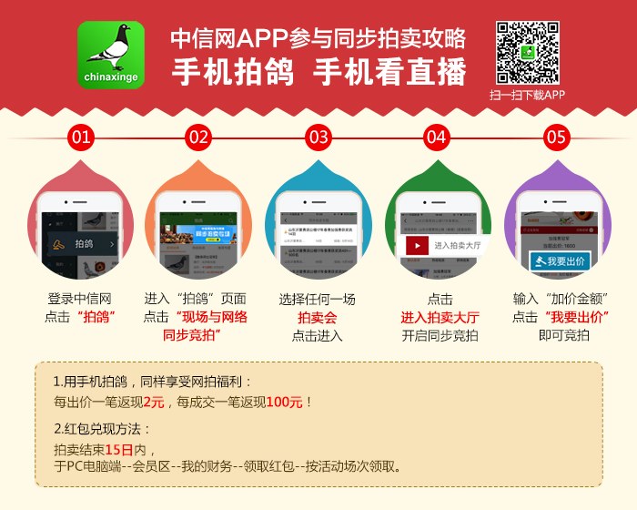 6、APP拍鸽流程图