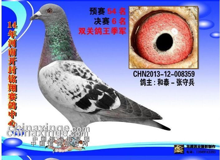 安徽蚌埠 杜朝晖 柴孝荣 333名,367名