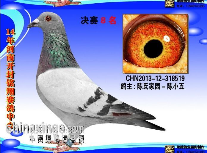 安徽合肥 和泰-张守兵 6名 安徽潜山 陈氏家园-陈小五 8名,29名 安徽
