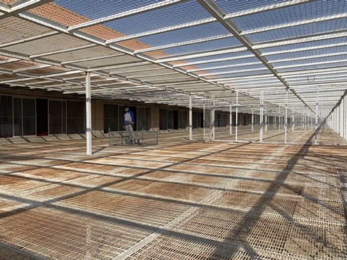 新疆天山天池鸽棚 新疆天山天池鸽棚